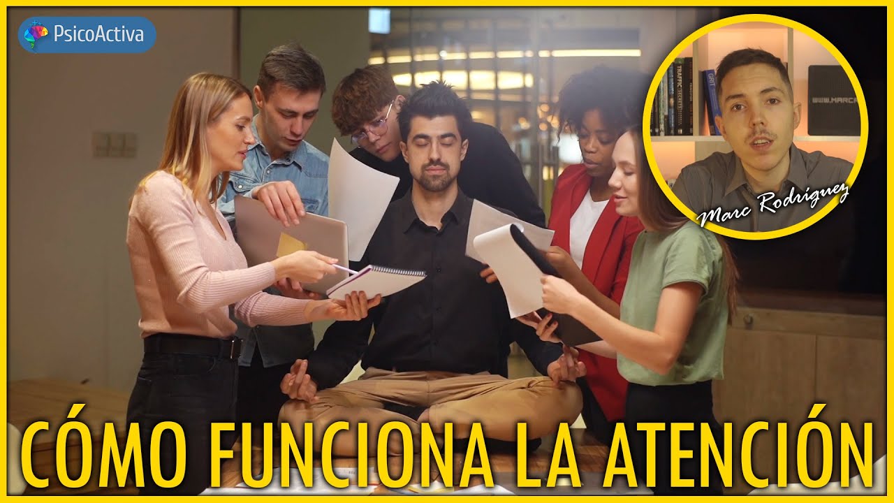 areas cerebrales que participan en la atencion