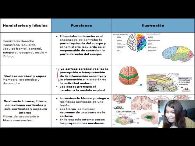 cuadro comparativo del hemisferio izquierdo y derecho del cerebro