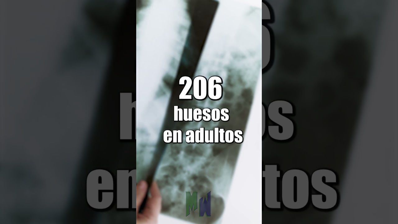 cuanta fuerza se necesita para romper un hueso