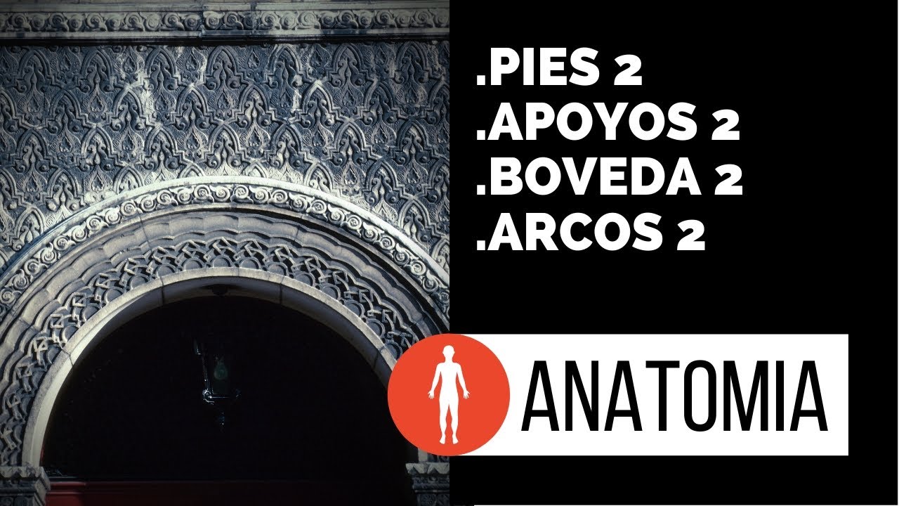 puntos de apoyo en el pie