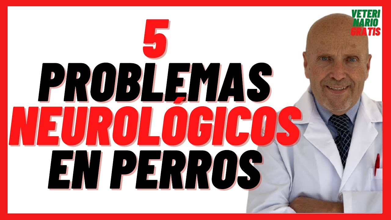 remedios para problemas neurológicos en perros