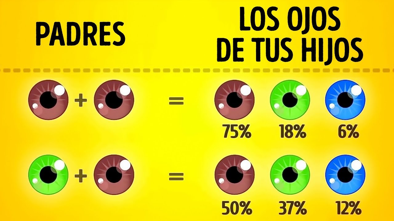 a quien se va a parecer mi bebe test