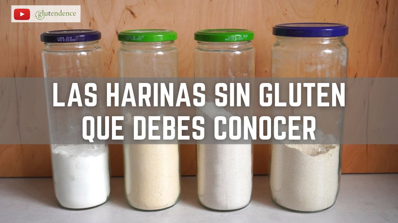 alimentos sin gluten y sin lactosa chile