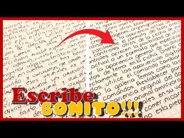 cambiar el orden de las letras al escribir en adultos