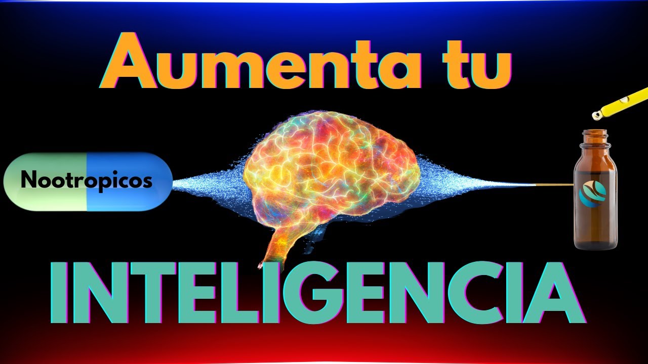 cuales son las mejores vitaminas para estudiar