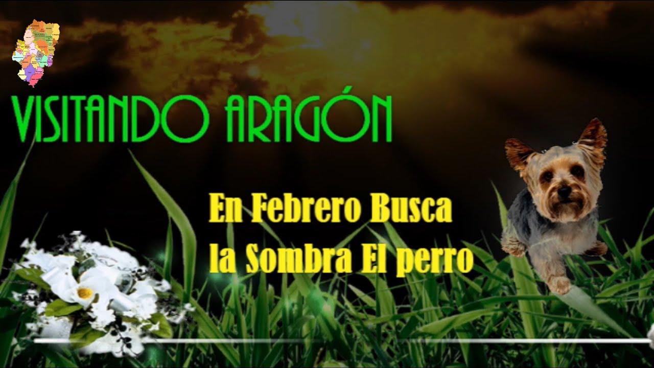 en febrero busca la sombra el perro significado