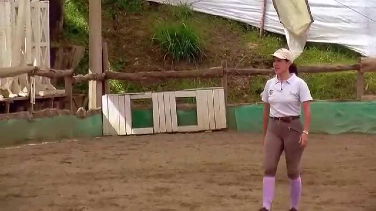 equinoterapia la rehabilitación por medio del caballo