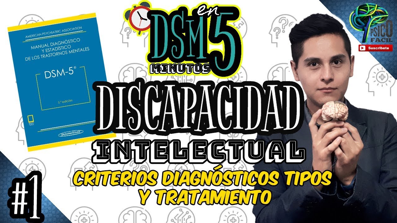 modelo teórico de discapacidad intelectual luckasson y cols 2002