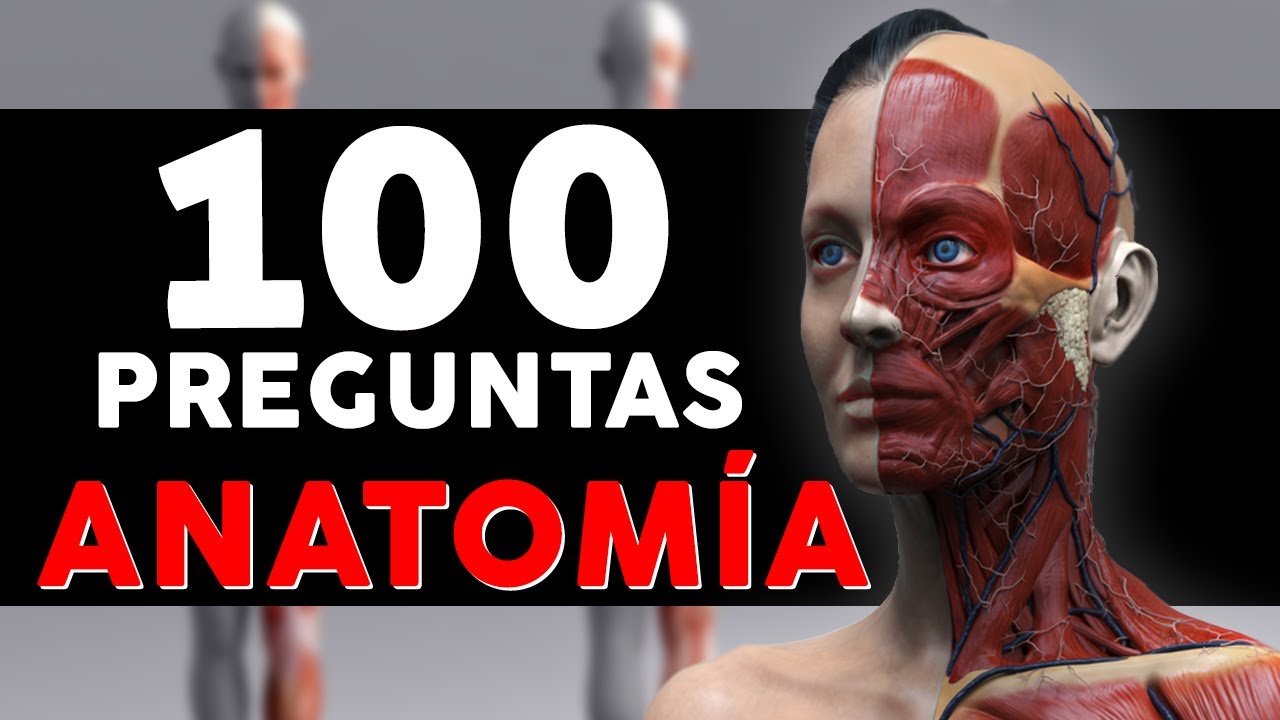a que partes del cuerpo hay que prestar especial atencion