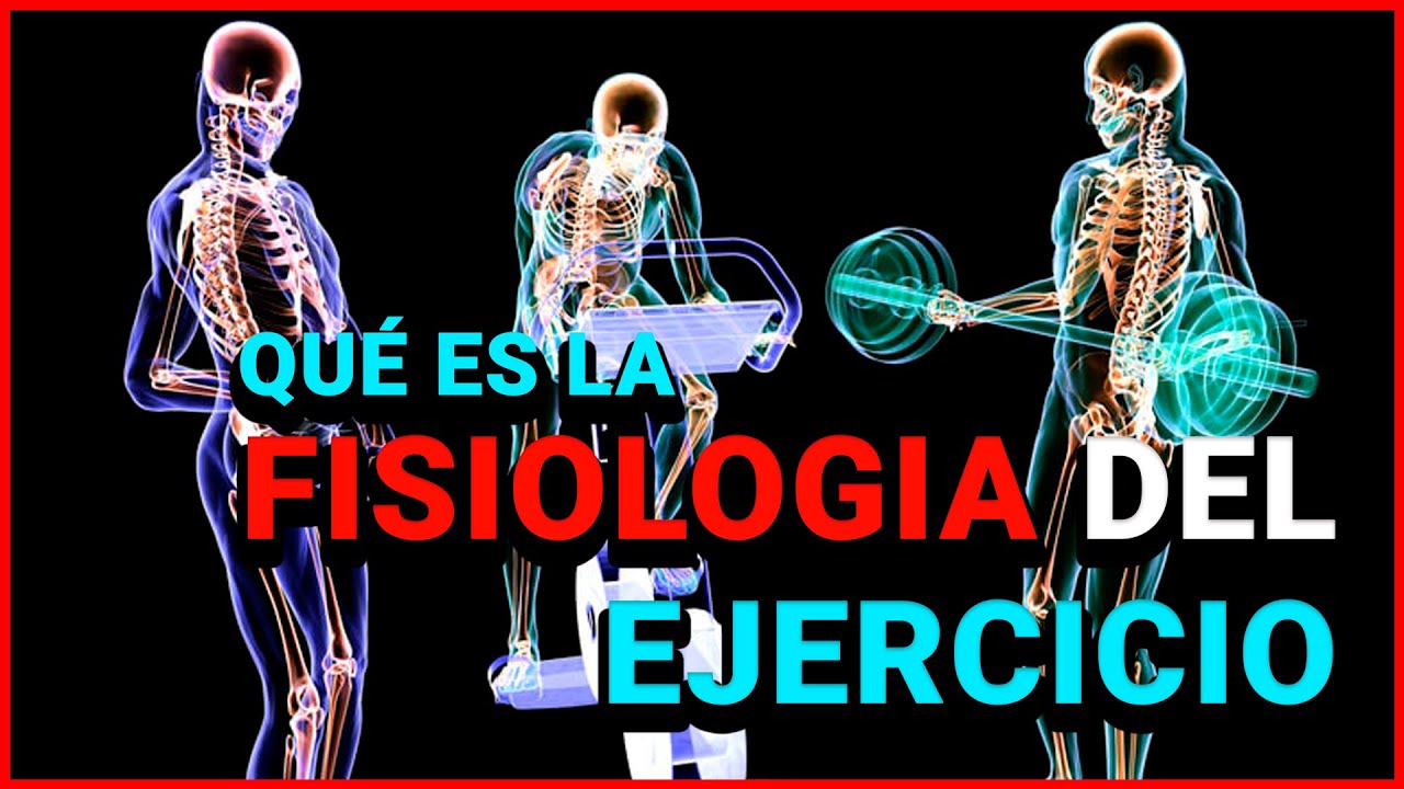 aplicaciones de la fisica en el deporte