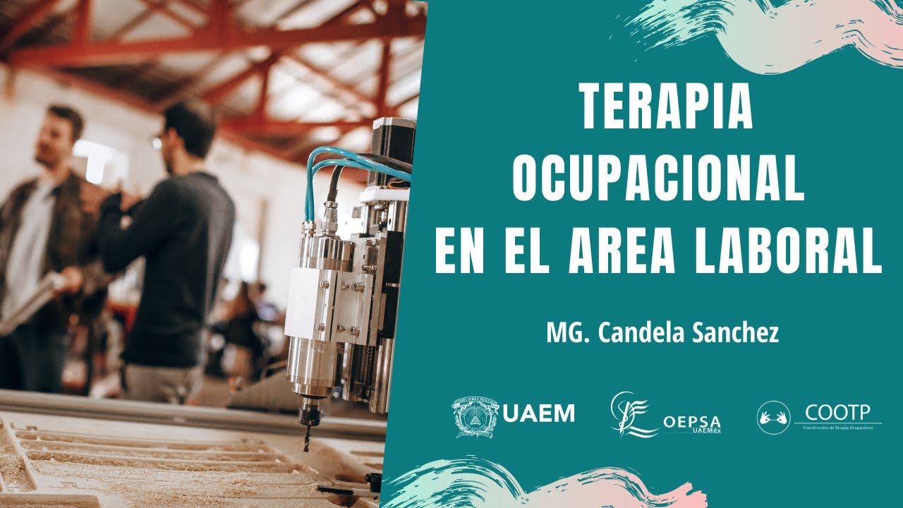 campos de accion de terapia ocupacional pdf