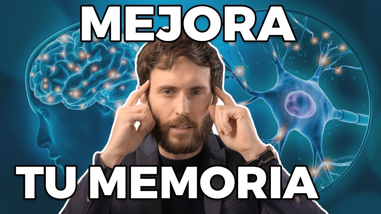 como trabajar la memoria de trabajo