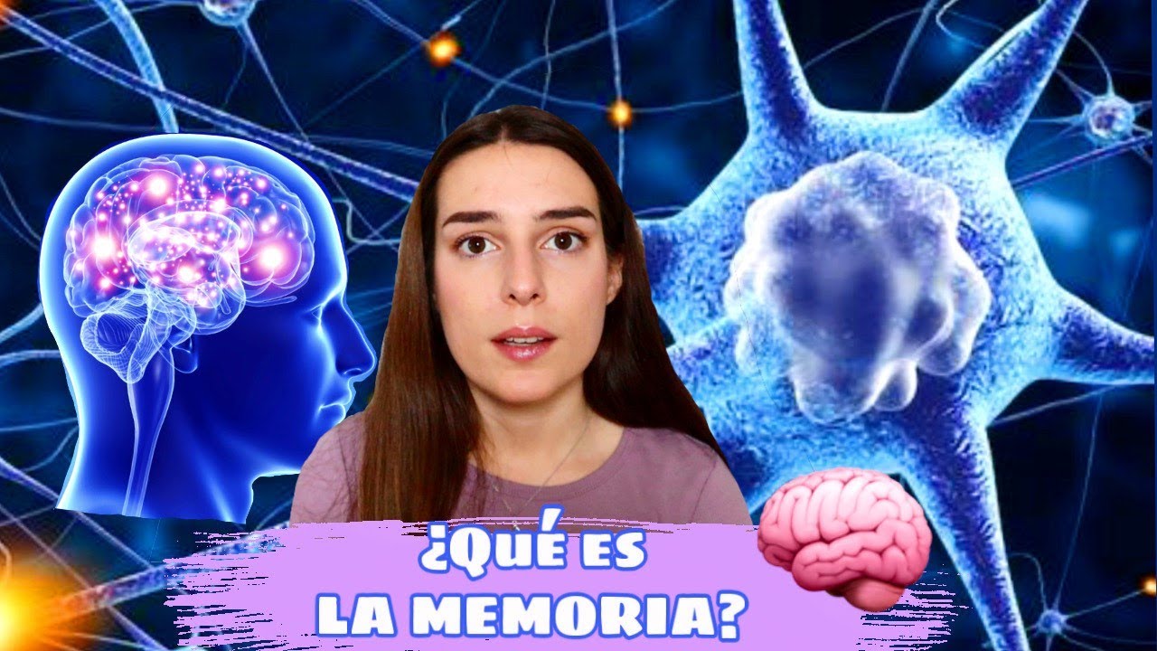 cual es la funcion de la memoria