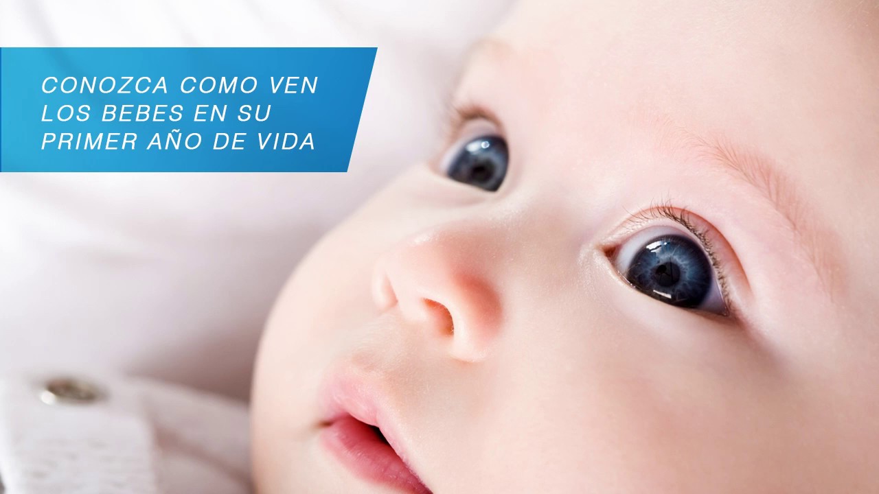 cuando fijan la vista los bebes