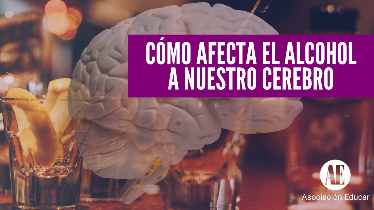 en que afecta el alcohol al cerebro