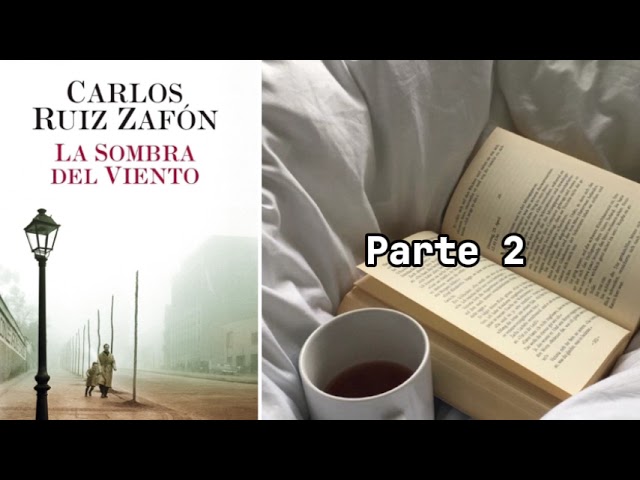 la sombra del viento el rincon del vago