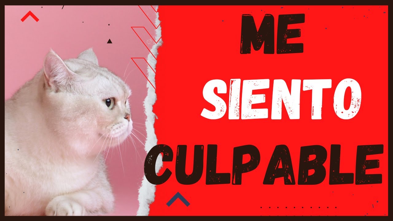 mi perro murio y me siento culpable