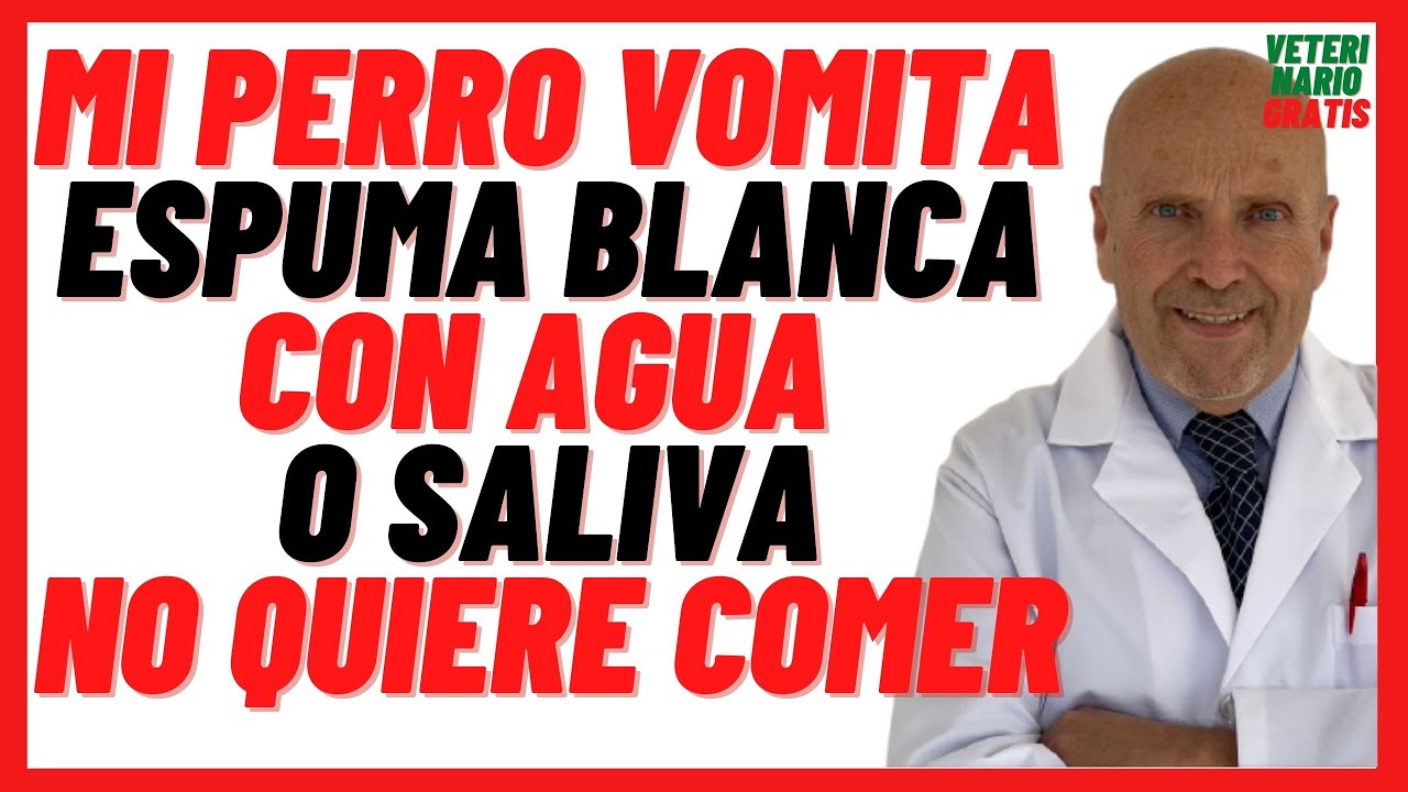 porque los perros botan espuma por la boca