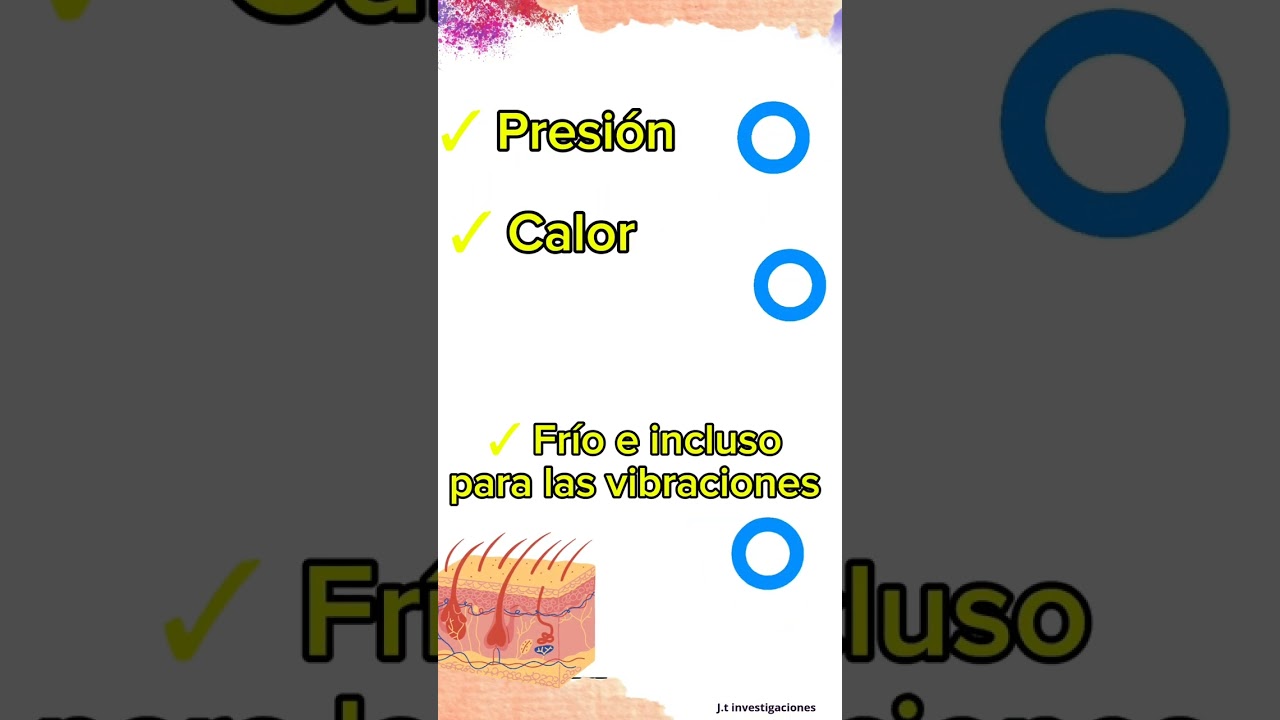 sensibilidad en la piel al tacto