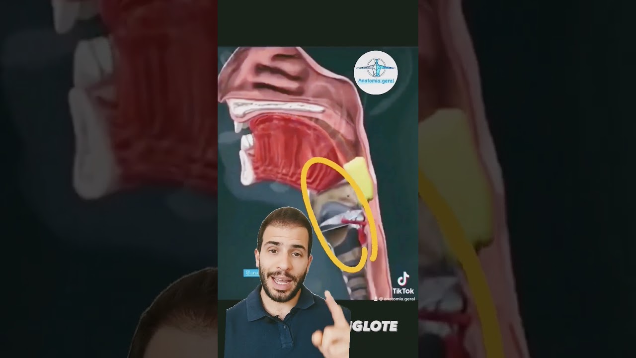 cartilago que tapa la laringe
