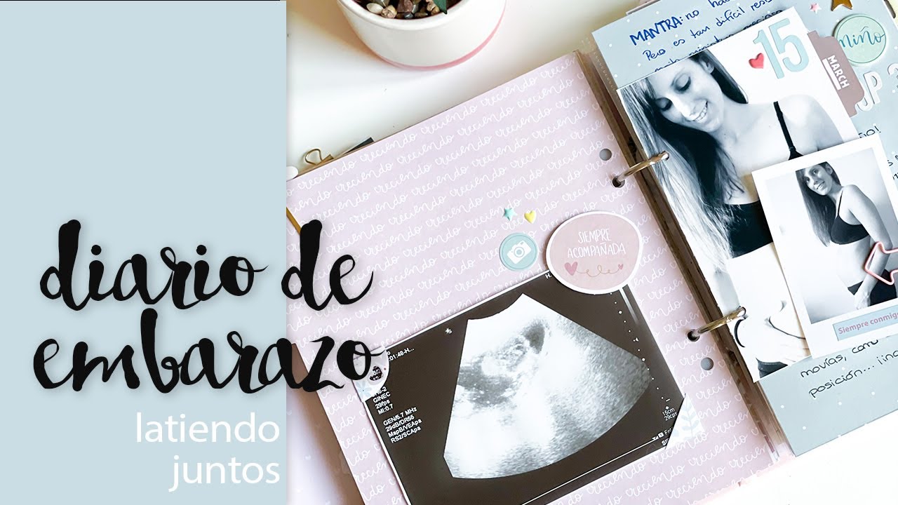 como hacer un diario para mi bebe