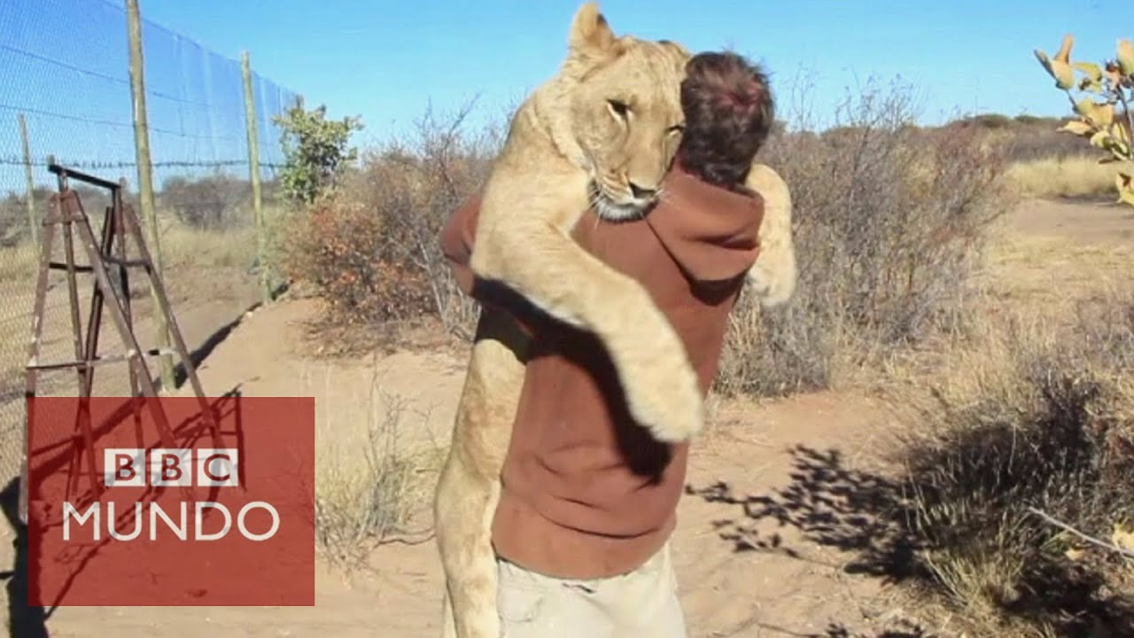 como se llama la persona que cuida a los animales
