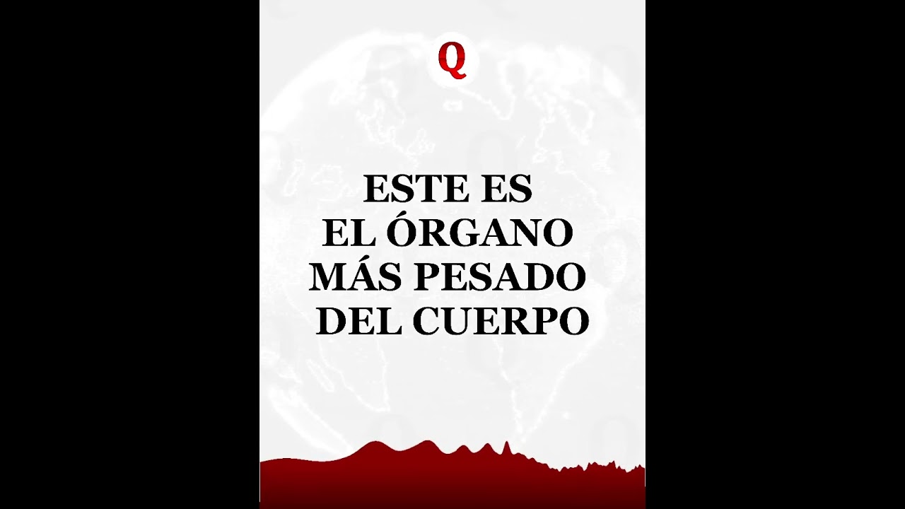cual es la parte del cuerpo mas pesada
