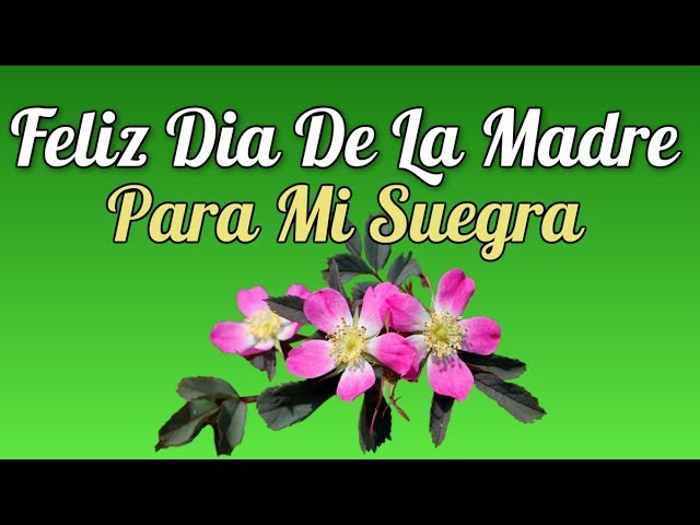 feliz dia de la madre para mi ex suegra