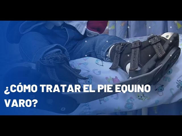 férula para pie equino varo precio