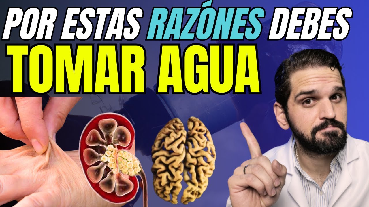 funciones del agua en nuestro cuerpo