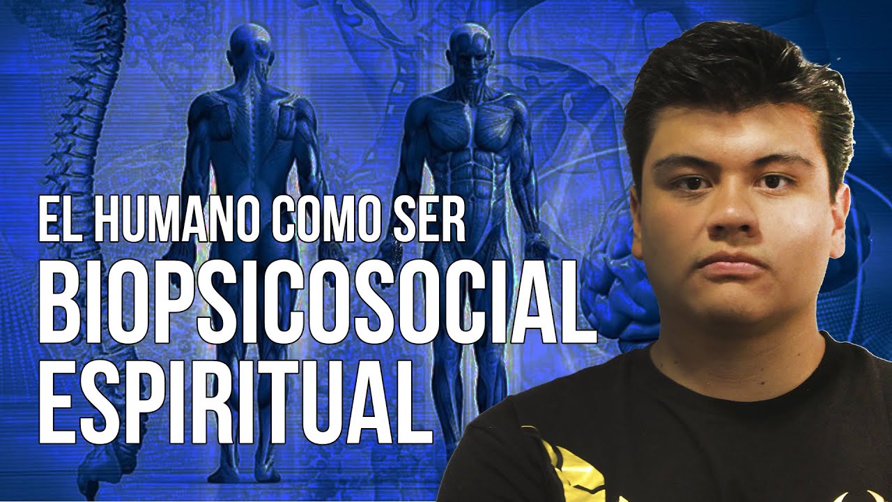 las 4 esferas del ser humano
