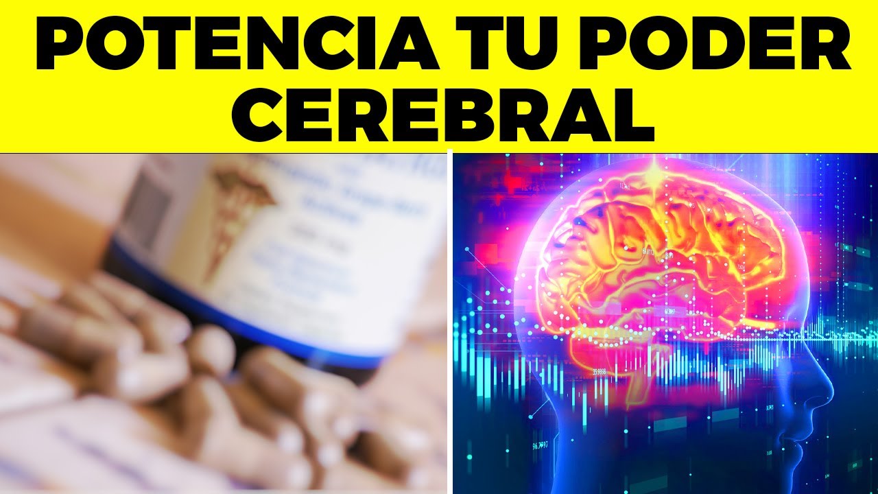 mejores vitaminas para el cerebro y la memoria