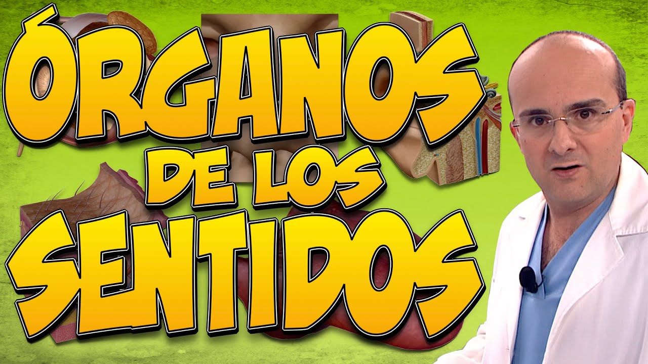 trastornos de los organos de los sentidos