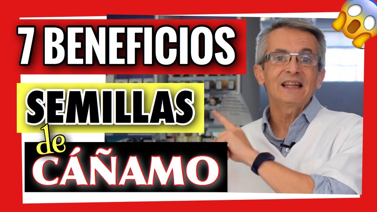 aceite de cáñamo propiedades y contraindicaciones