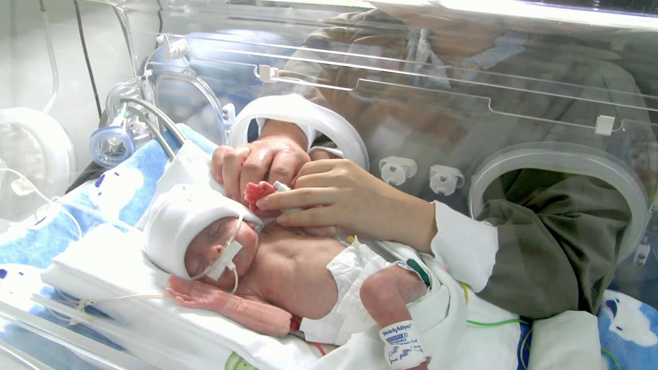 bebes de 7 meses de gestacion nacidos