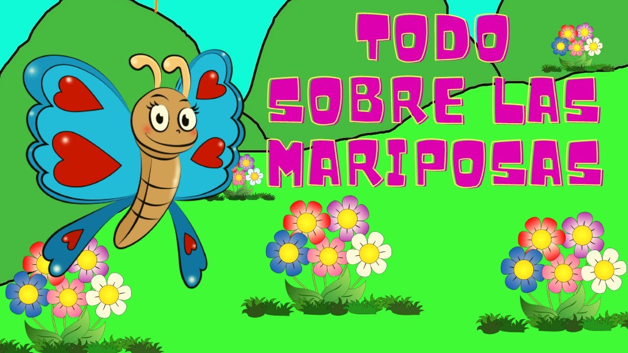 donde viven las mariposas para niños de preescolar