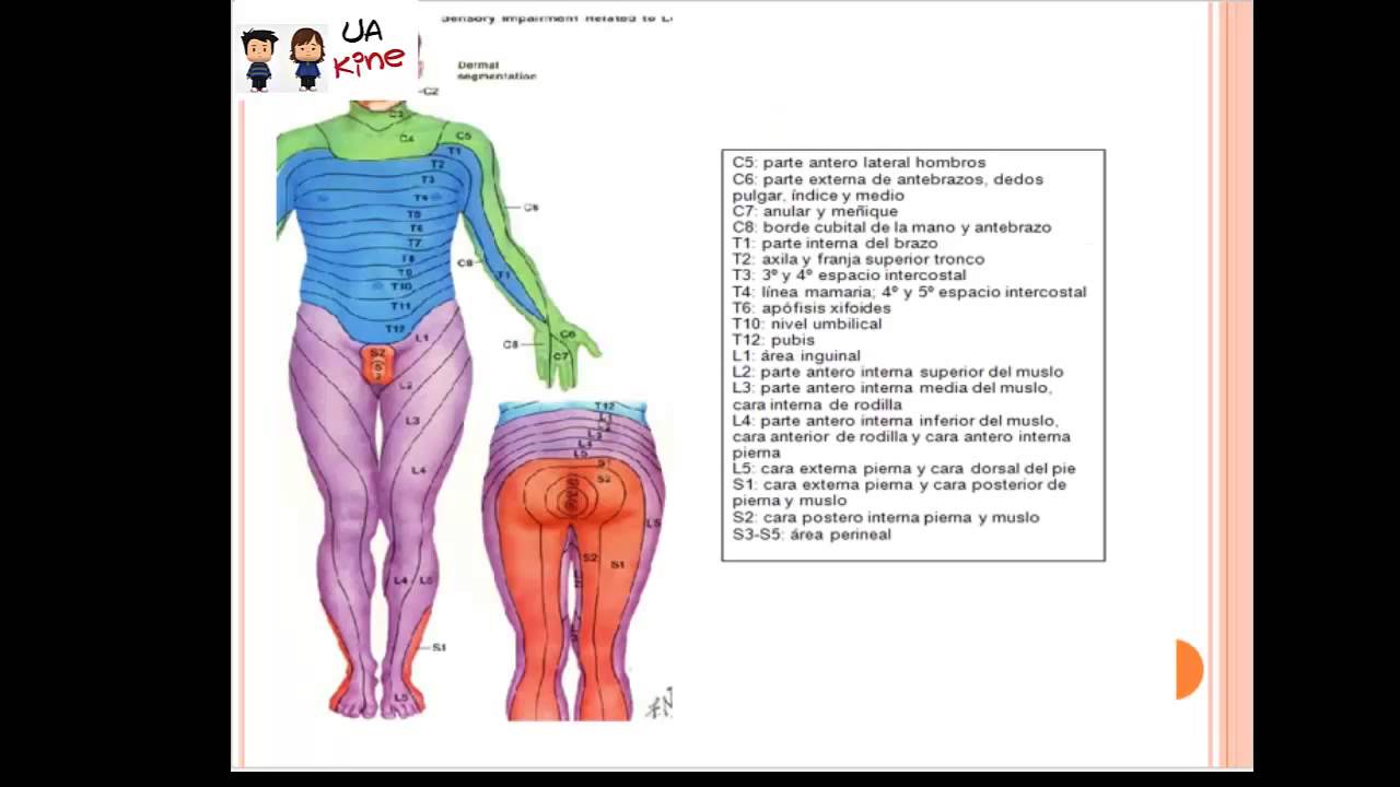 escala de asia lesion medular pdf