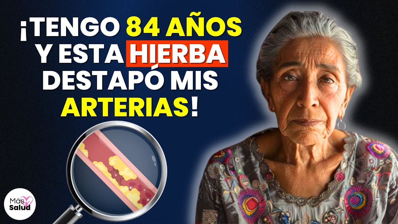 infusiones para limpiar los vasos sanguíneos