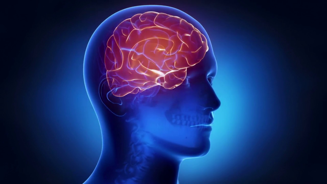 qué diferencia hay entre un ictus y un derrame cerebral