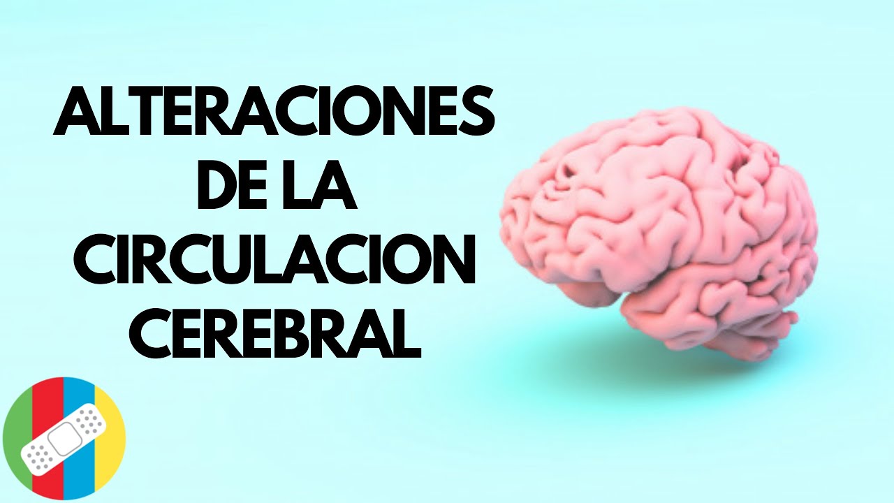 sintomas de la falta de irrigacion de sangre al cerebro