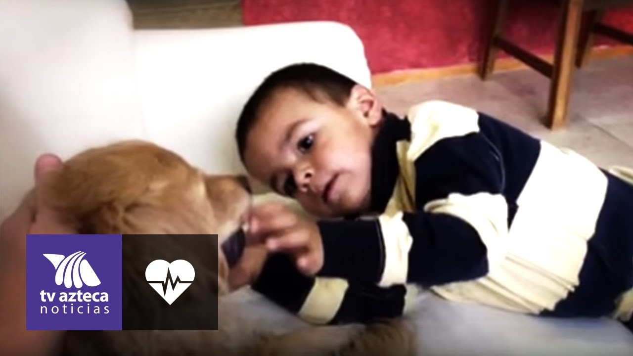 terapia de perros para niños autistas